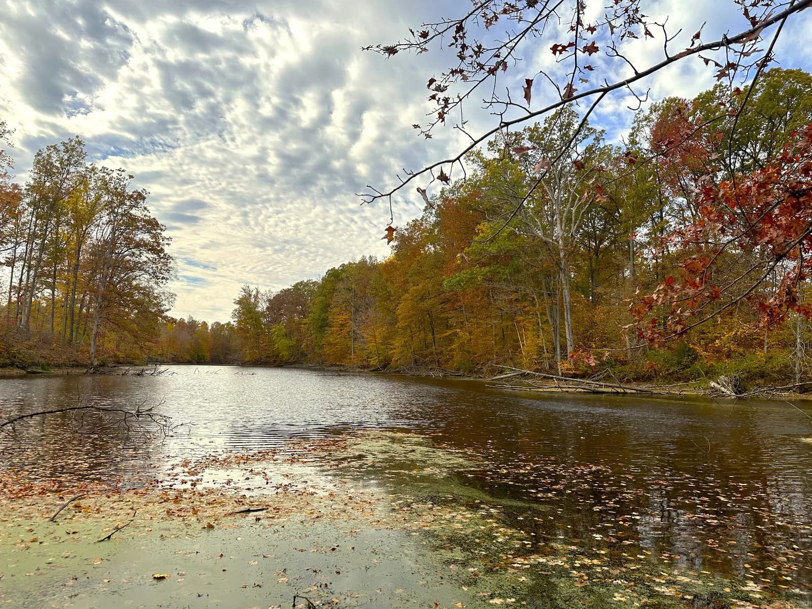 The Four Oaks community lake in autumn, ringed by trees turning orange and gold under a bright sky.